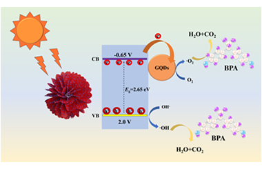 Graphene quantum dot modified Bi2MoO6 nanoflower for efficient degradation of BPA under visible light 2024.100473